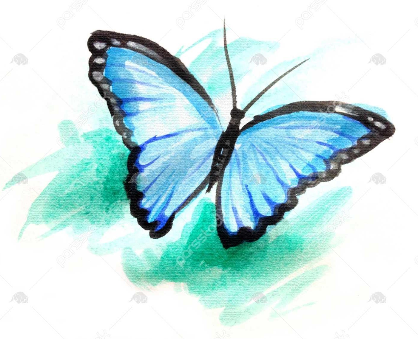نقاشی با آبرنگ پروانه