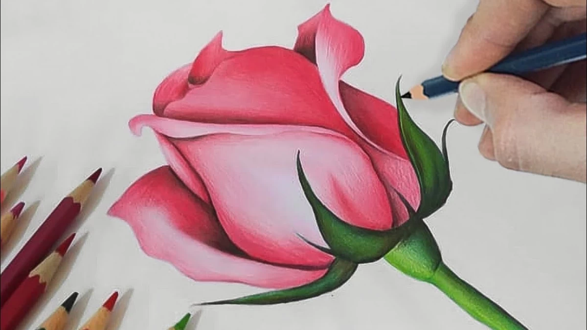 نقاشی با مداد رنگی گل