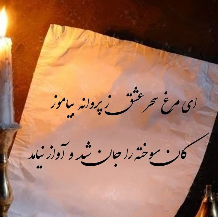 شعر عاشقانه پروانه - هنرمند ایران شعر عاشقانه پروانه